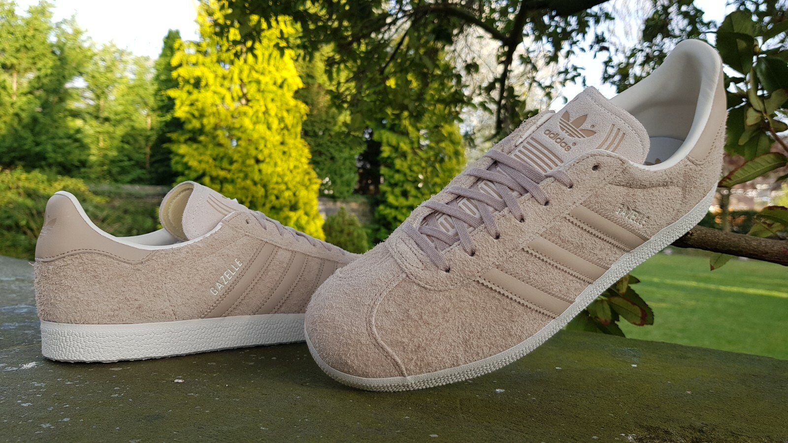 gazelle beige brillante